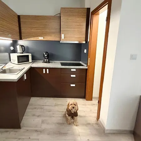 Prater Residence Apartment Budapest-3